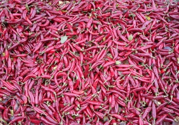 paprika at the mills, to be grinded